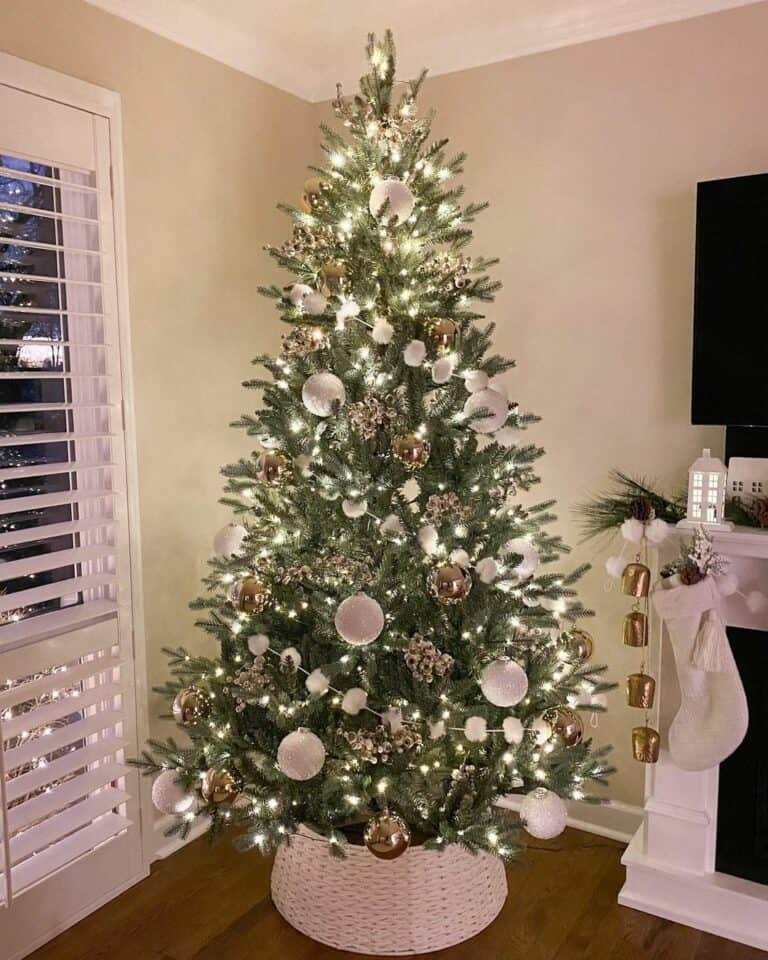 White Spruce Collar