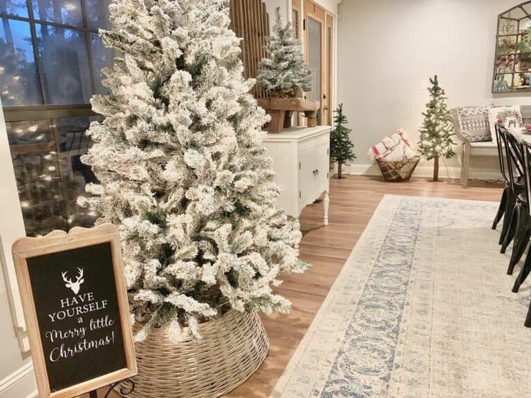 White Tree White Collar