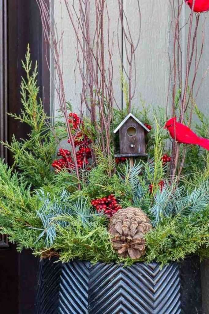 Birdhouse Fir Arrangement