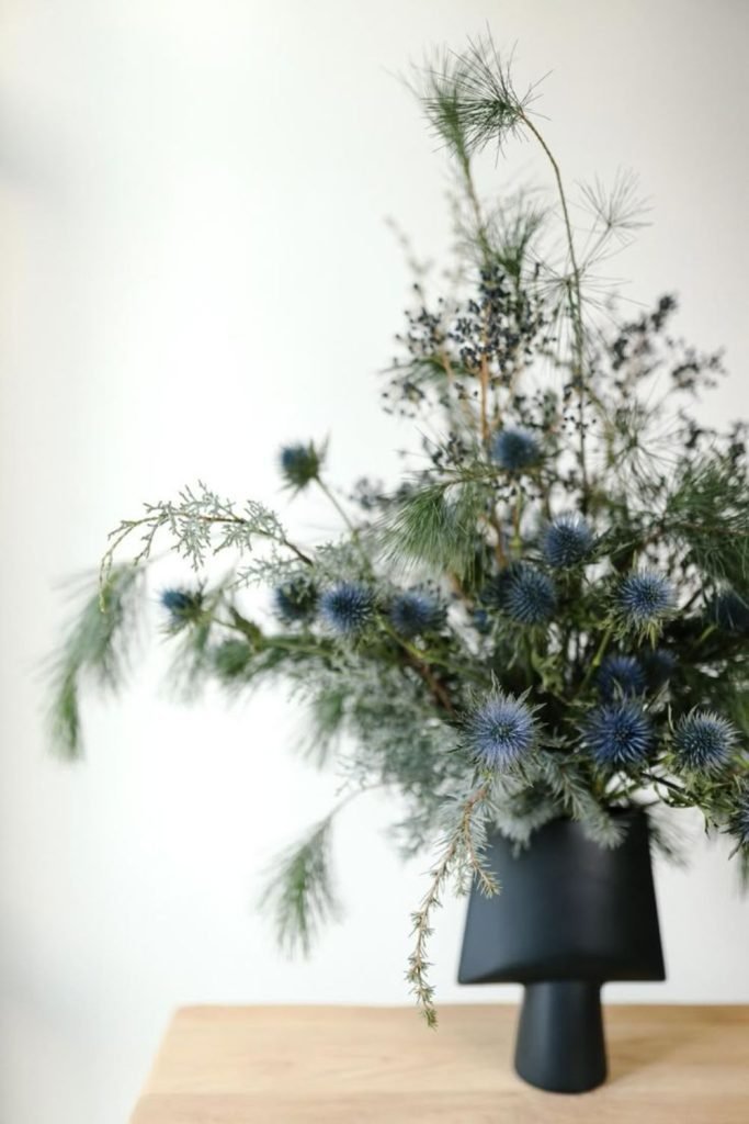 Cotton Pod Arrangements