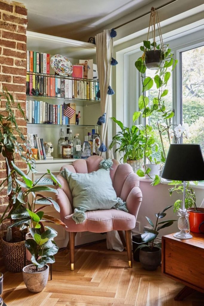 Indoor Plant Display