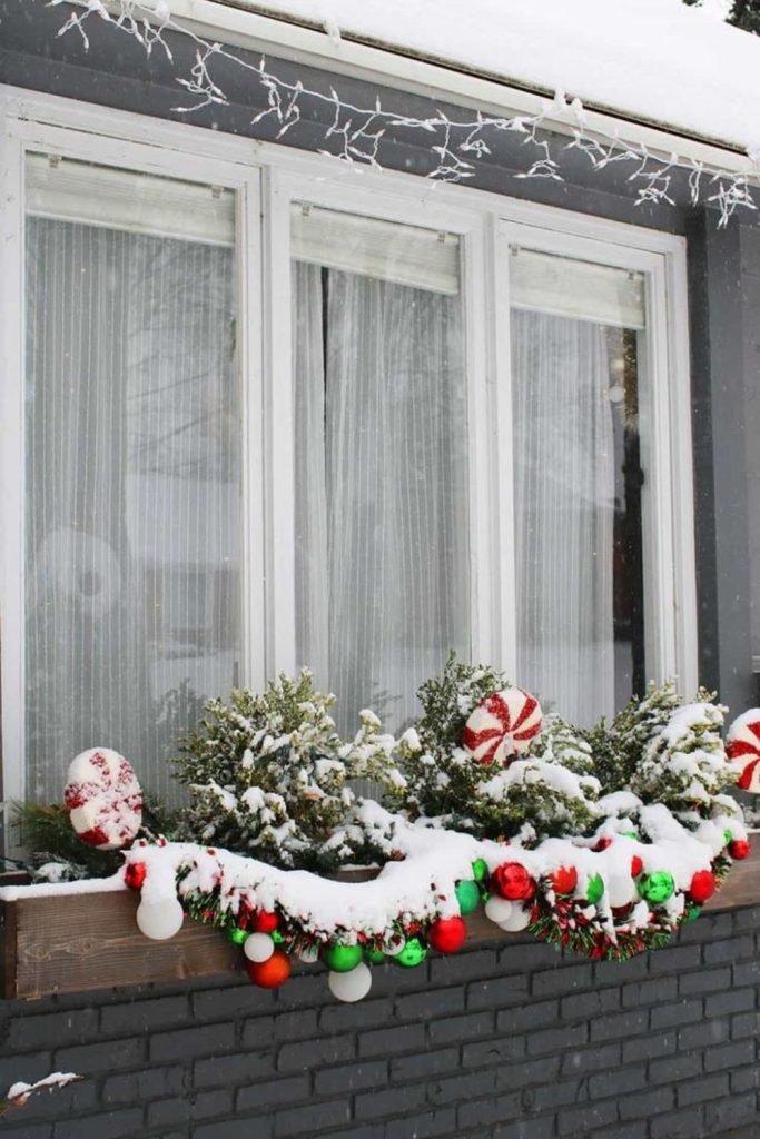 Winter Window Boxes