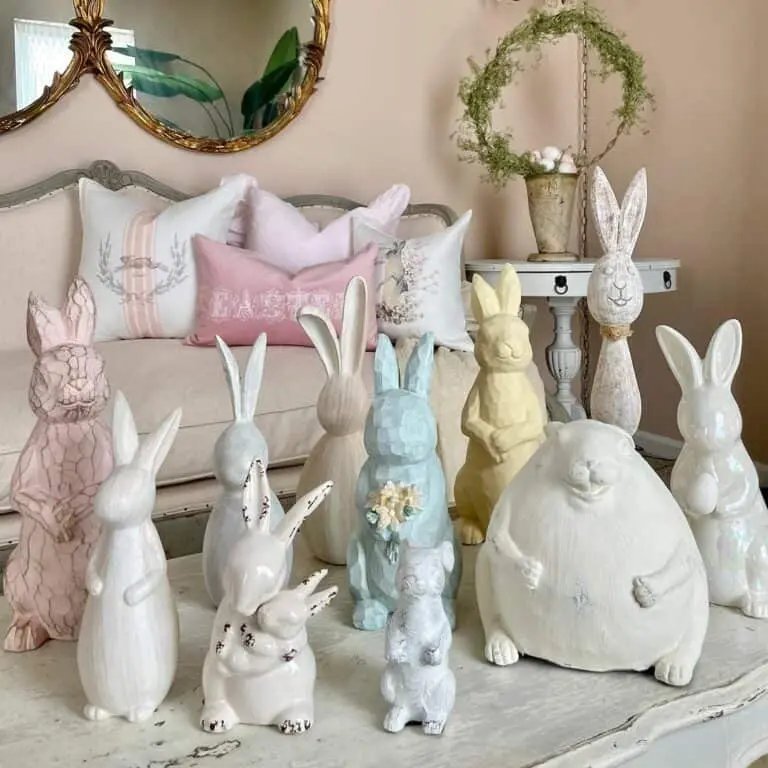 Colorful Rabbit Display