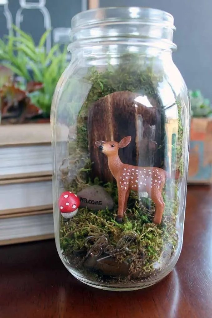 Mason Jar Terrarium