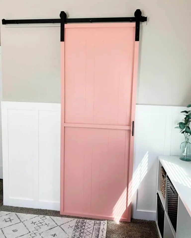 Pink Barn Door