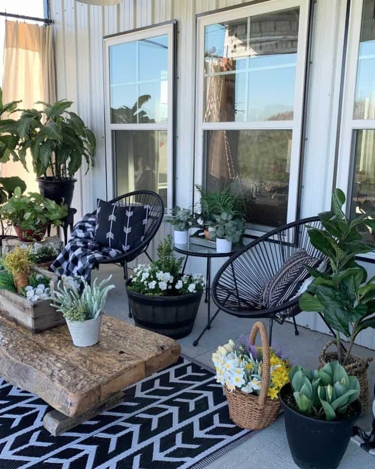 Spring Porch Plants
