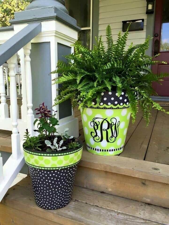 Succulent Planters