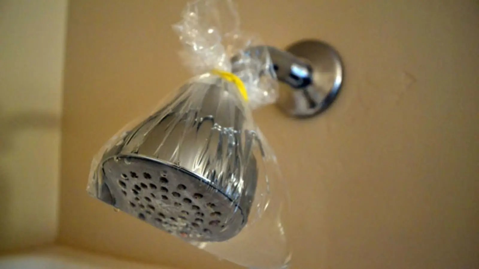 Vinegar Showerhead Cleaning
