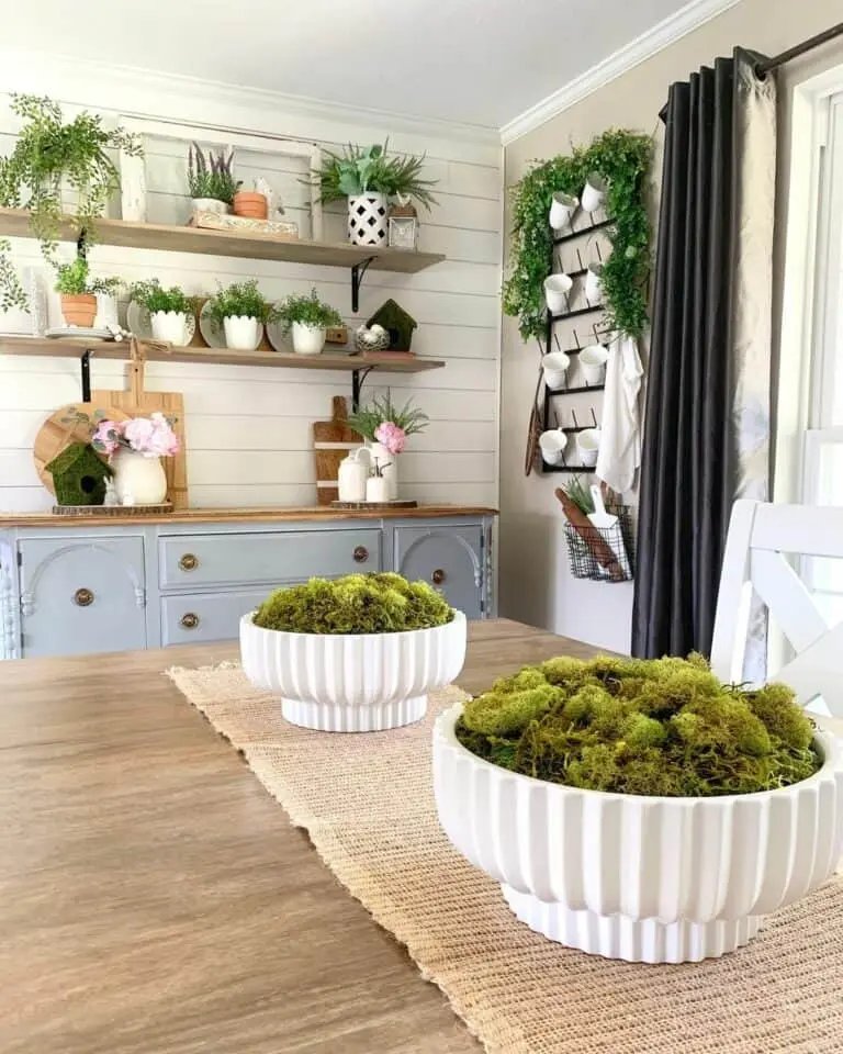 Wooden Shelf Displays