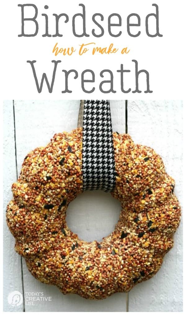 Birdseed Suet Wreath