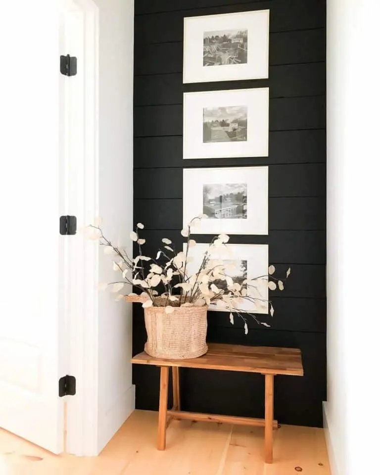 Black Shiplap Wall