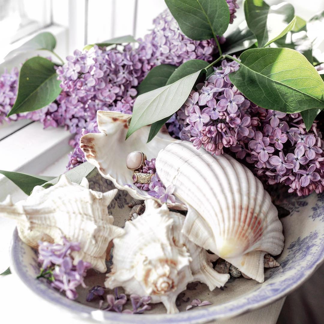 Blue and White China