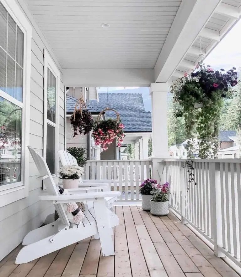 Hanging Porch Plants