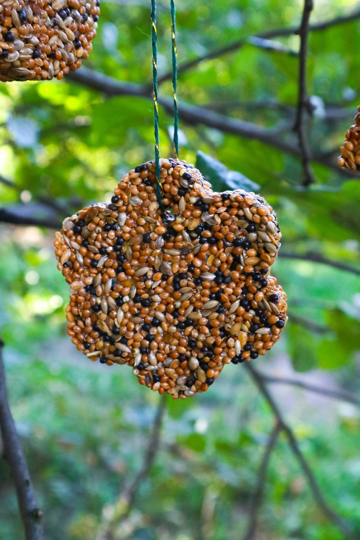 Homemade Bird Feeders
