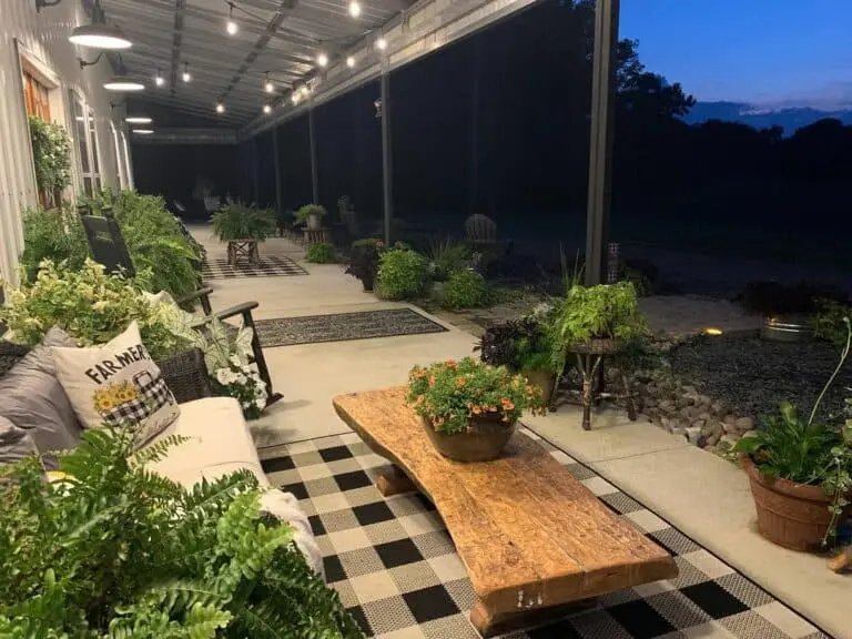 Natural Plants and Wicker