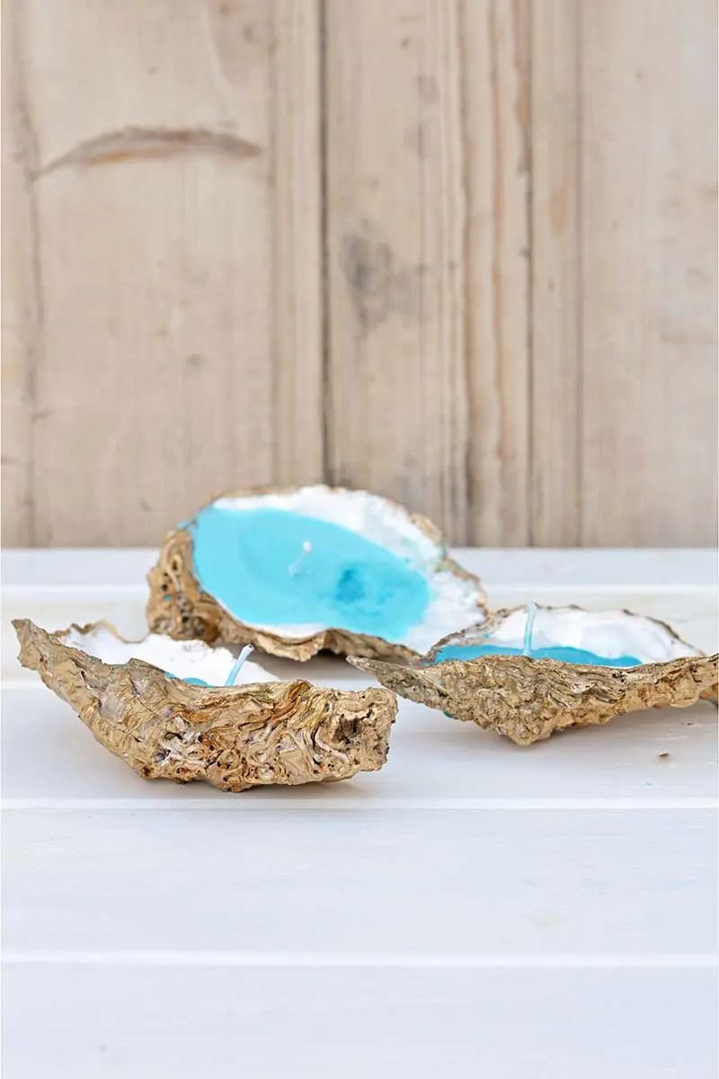 Oyster Shell Candles