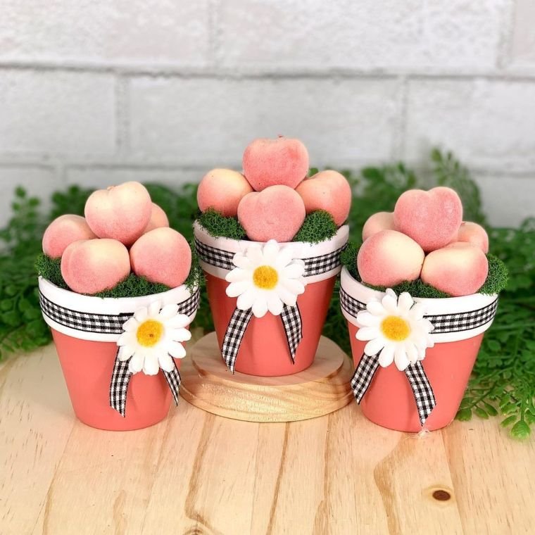 Peaches in Pots