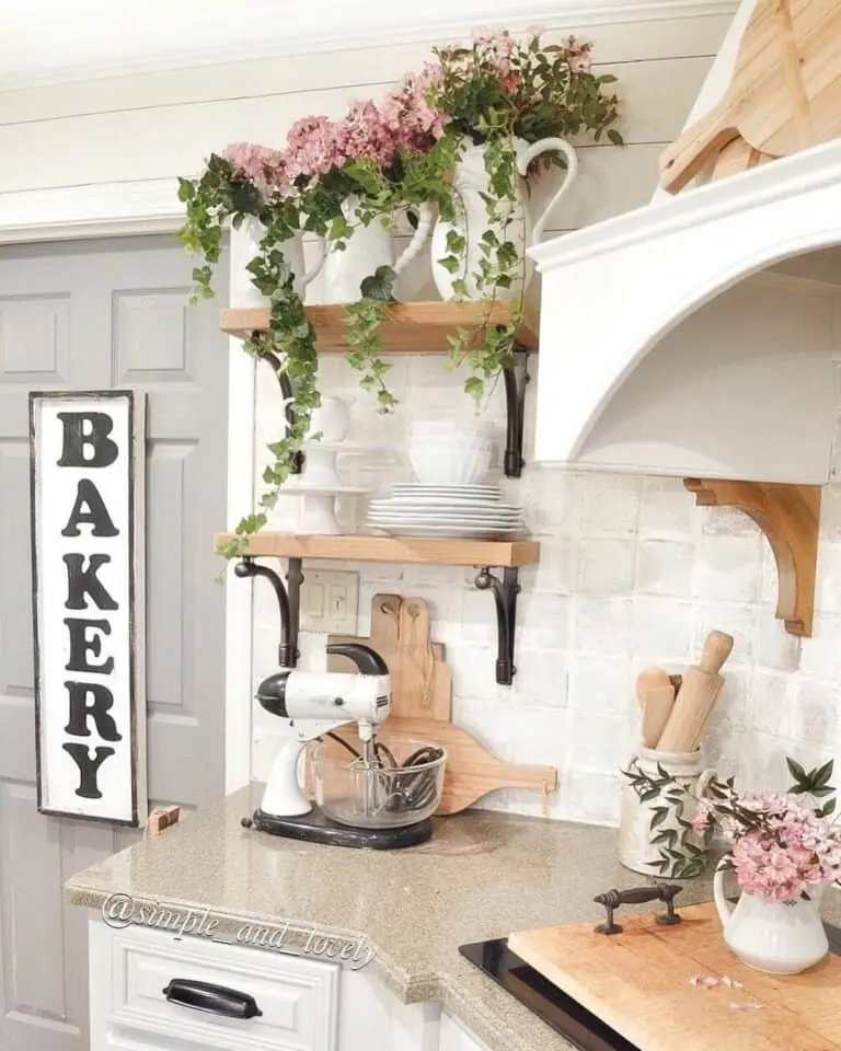 Pink Flowers, White Pitchers