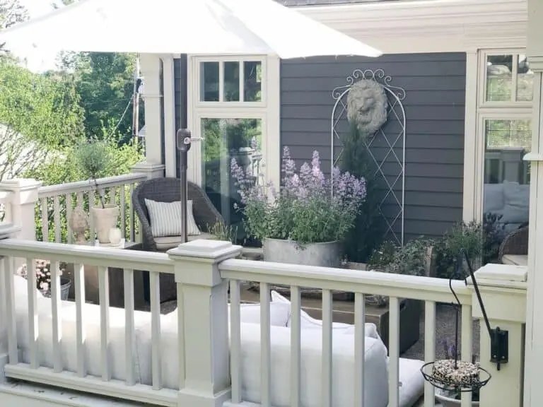 Shaded Porch Greenery