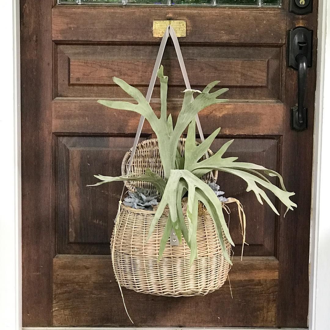 Wicker Door Basket