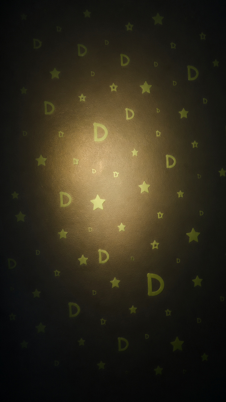 Dazzling Flashlight D Hunt