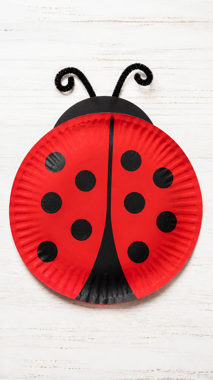 Paper Plate Ladybug