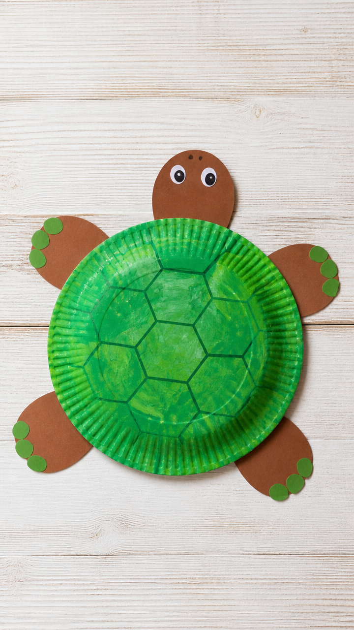 Paper Plate Turtle