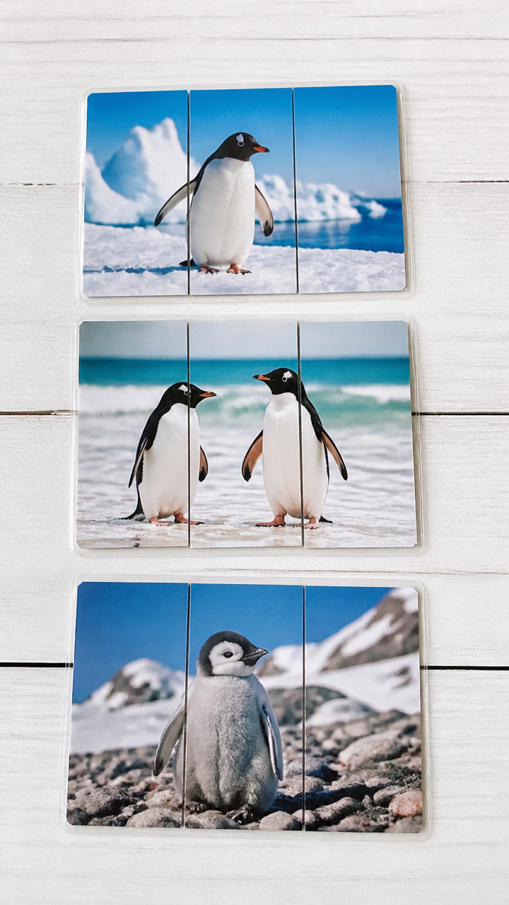 Penguin Puzzle Cards